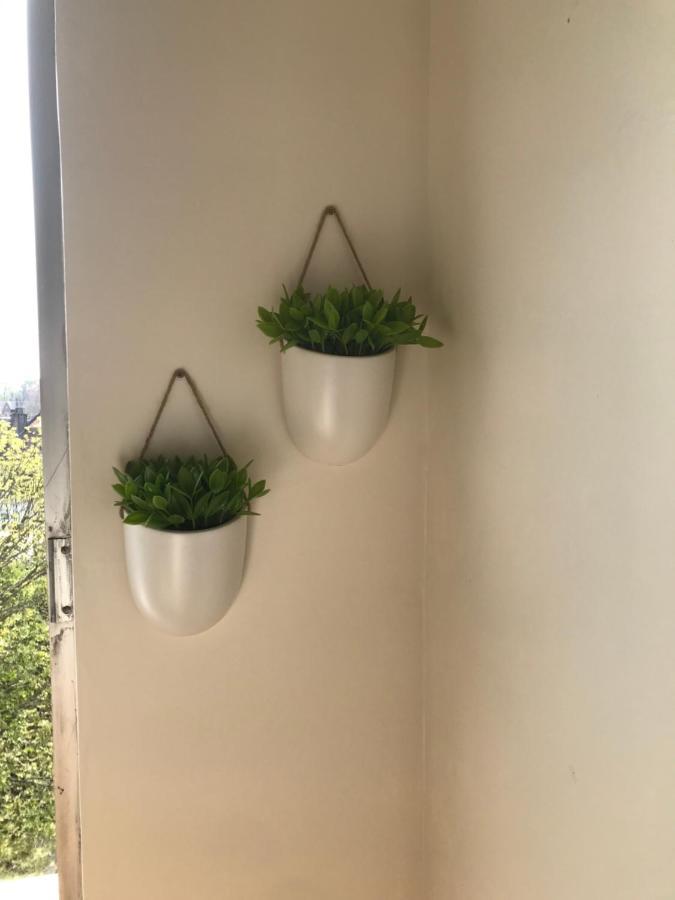 Appartement Cosy Hyper Centre Loulou At Home 贝休恩 外观 照片